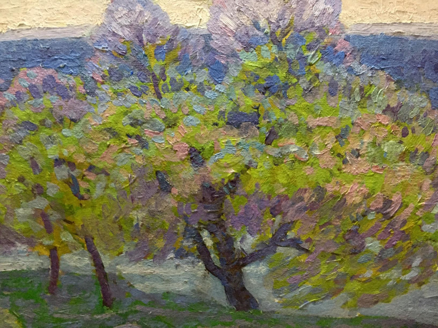 Oil painting Spring in the Kherson region Grigory Savelievich Ruban