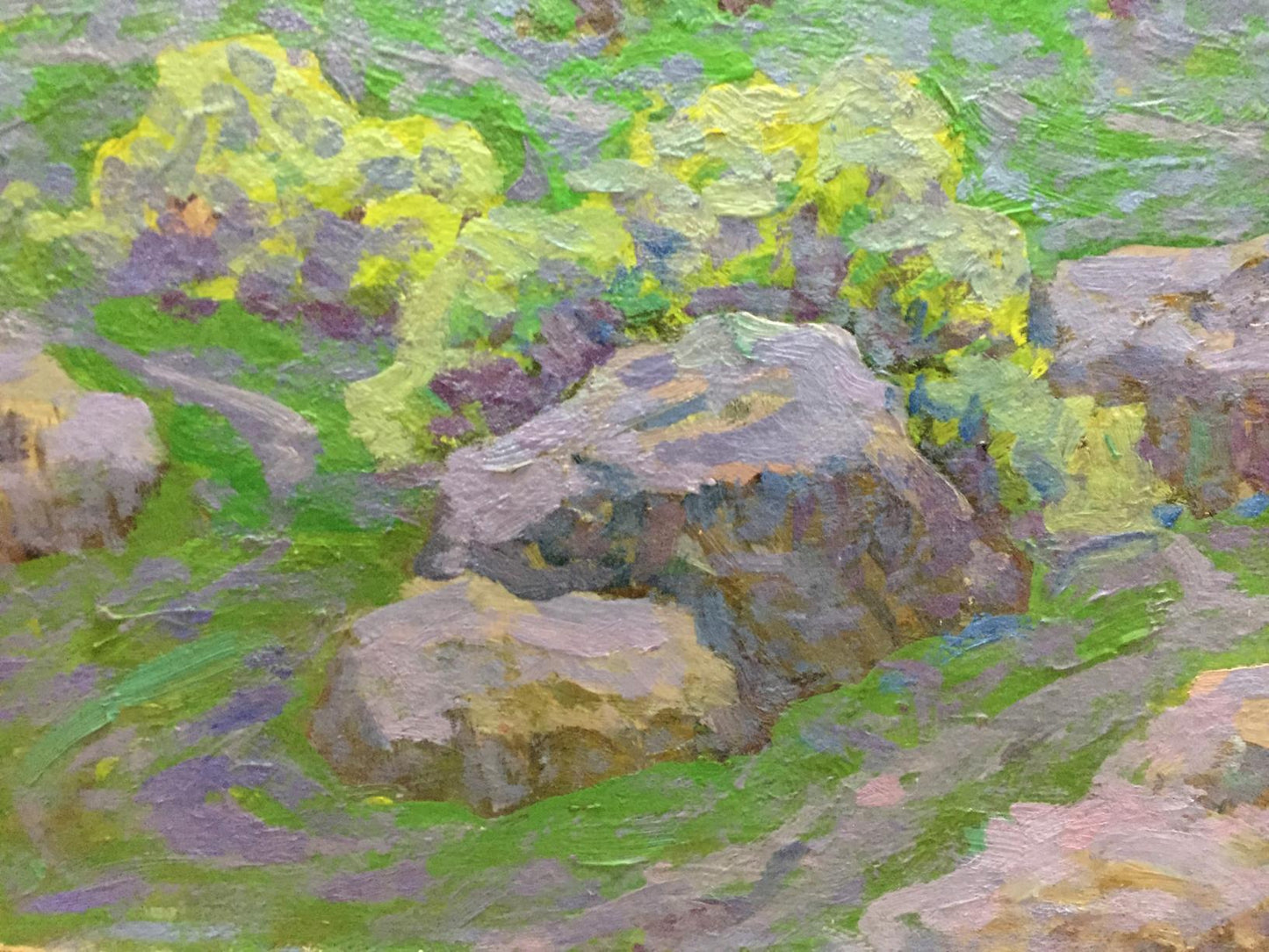 Oil painting Spring in the Kherson region Grigory Savelievich Ruban