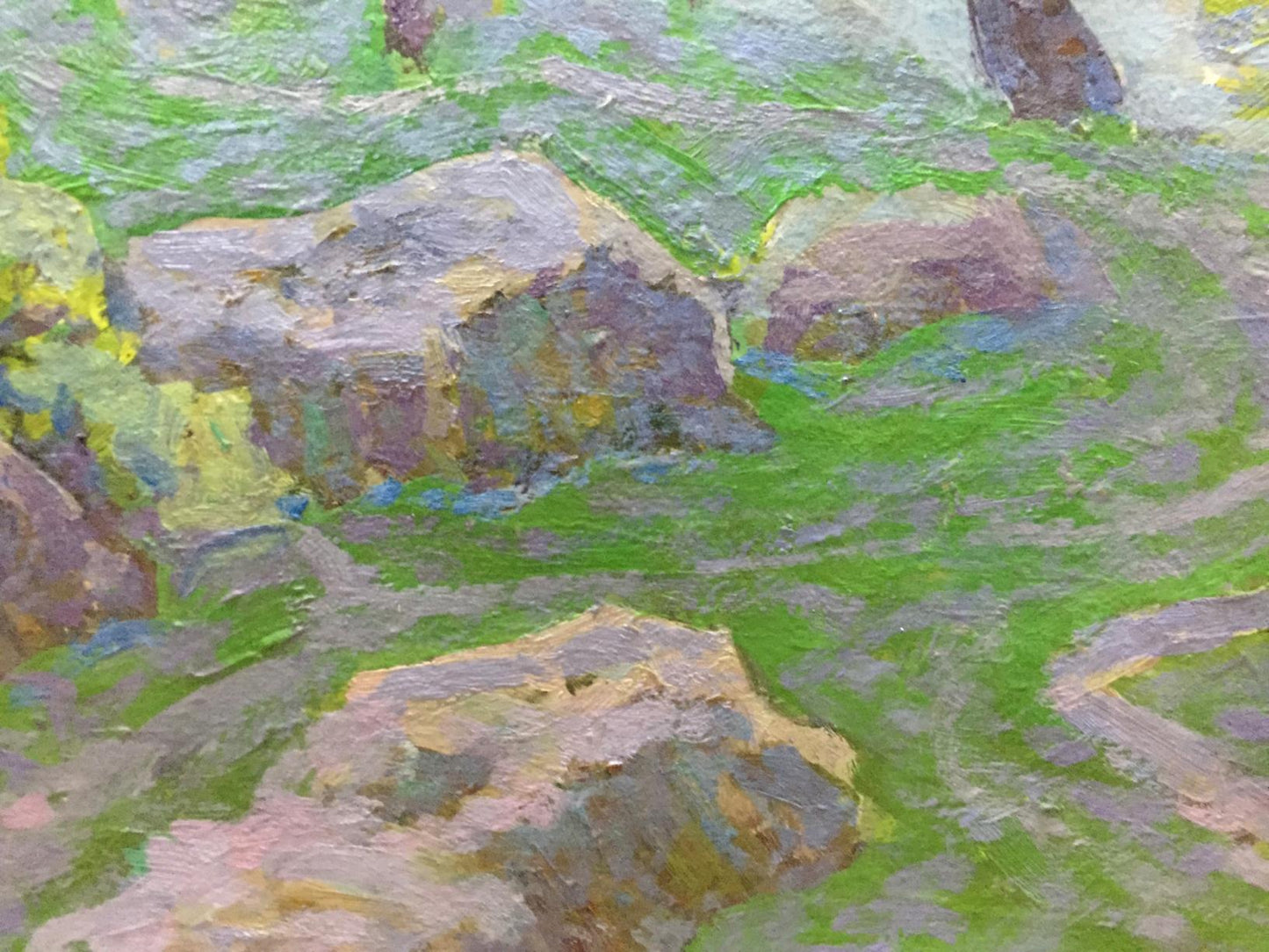 Oil painting Spring in the Kherson region Grigory Savelievich Ruban