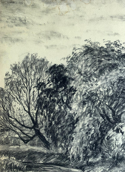 Charcoal pencil painting Forest lake A. G. Cherkas