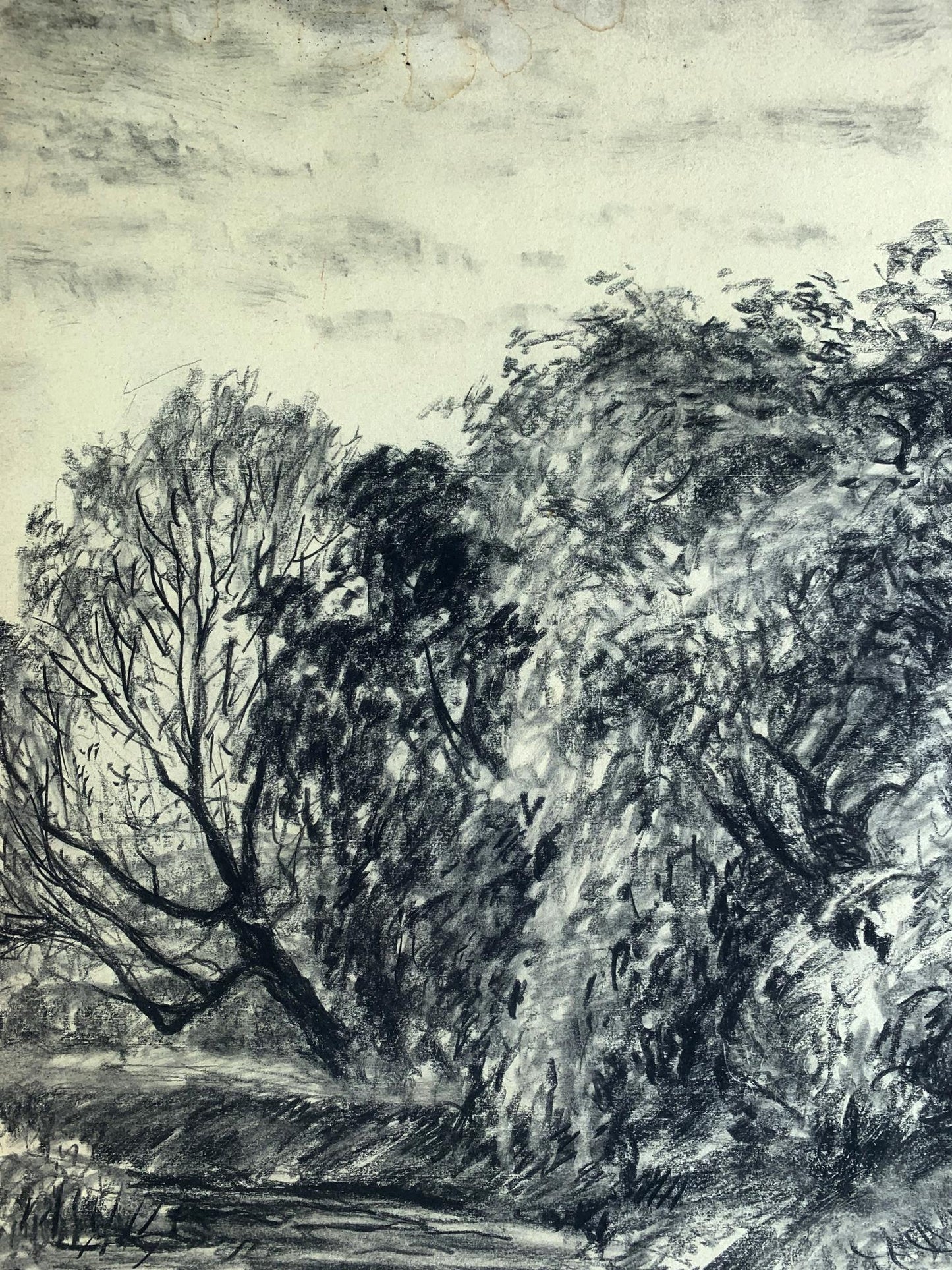 Charcoal pencil painting Forest lake A. G. Cherkas