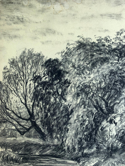 Charcoal pencil painting Forest lake A. G. Cherkas