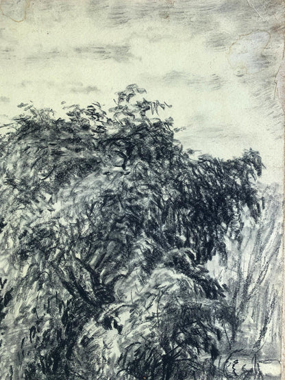 Charcoal pencil painting Forest lake A. G. Cherkas