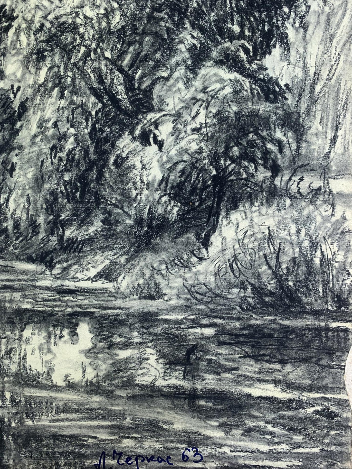 Charcoal pencil painting Forest lake A. G. Cherkas