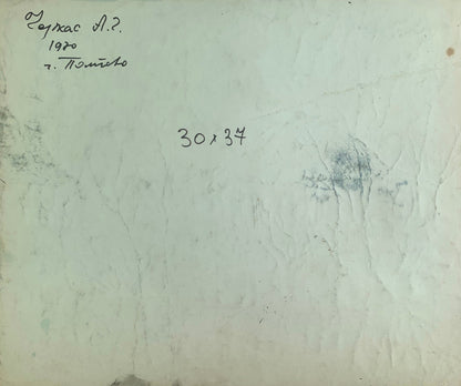 Ink painting Houses after the rain A. G. Cherkas