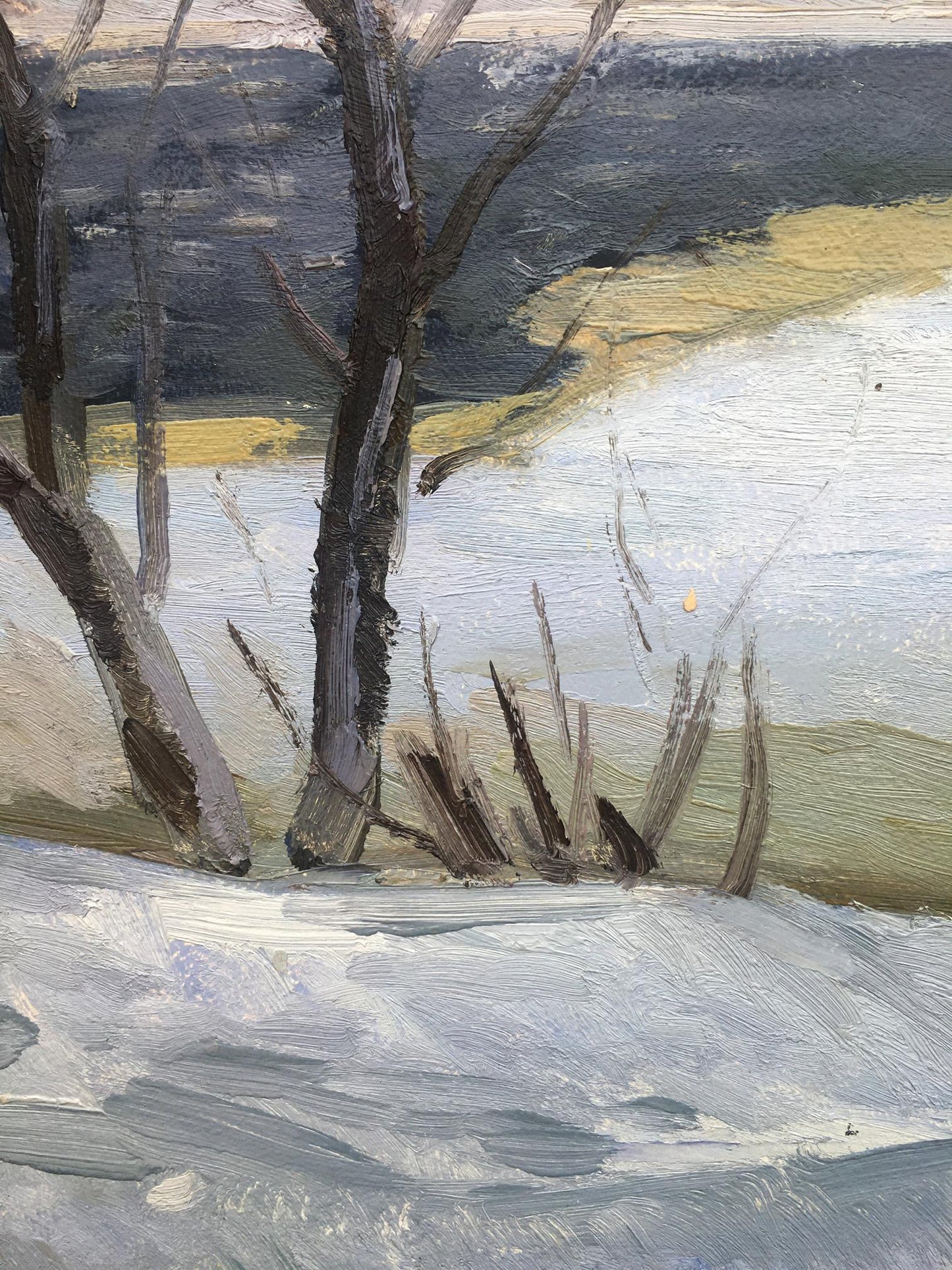 Oil painting The first snow in the forest Bloshenko Anatoly Mikhailovich