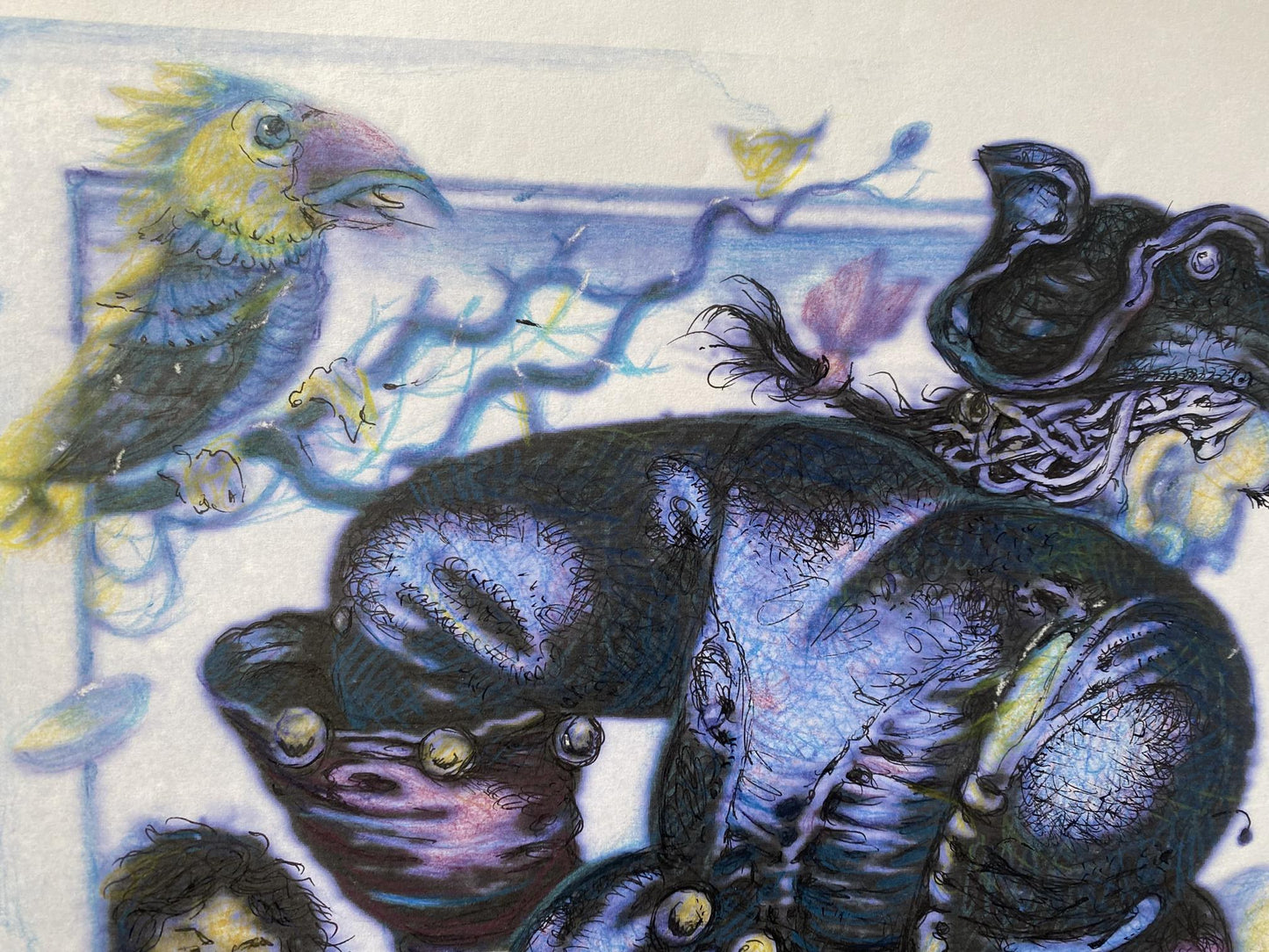 Pencil painting Pirate with a parrot Oleg Litvinov