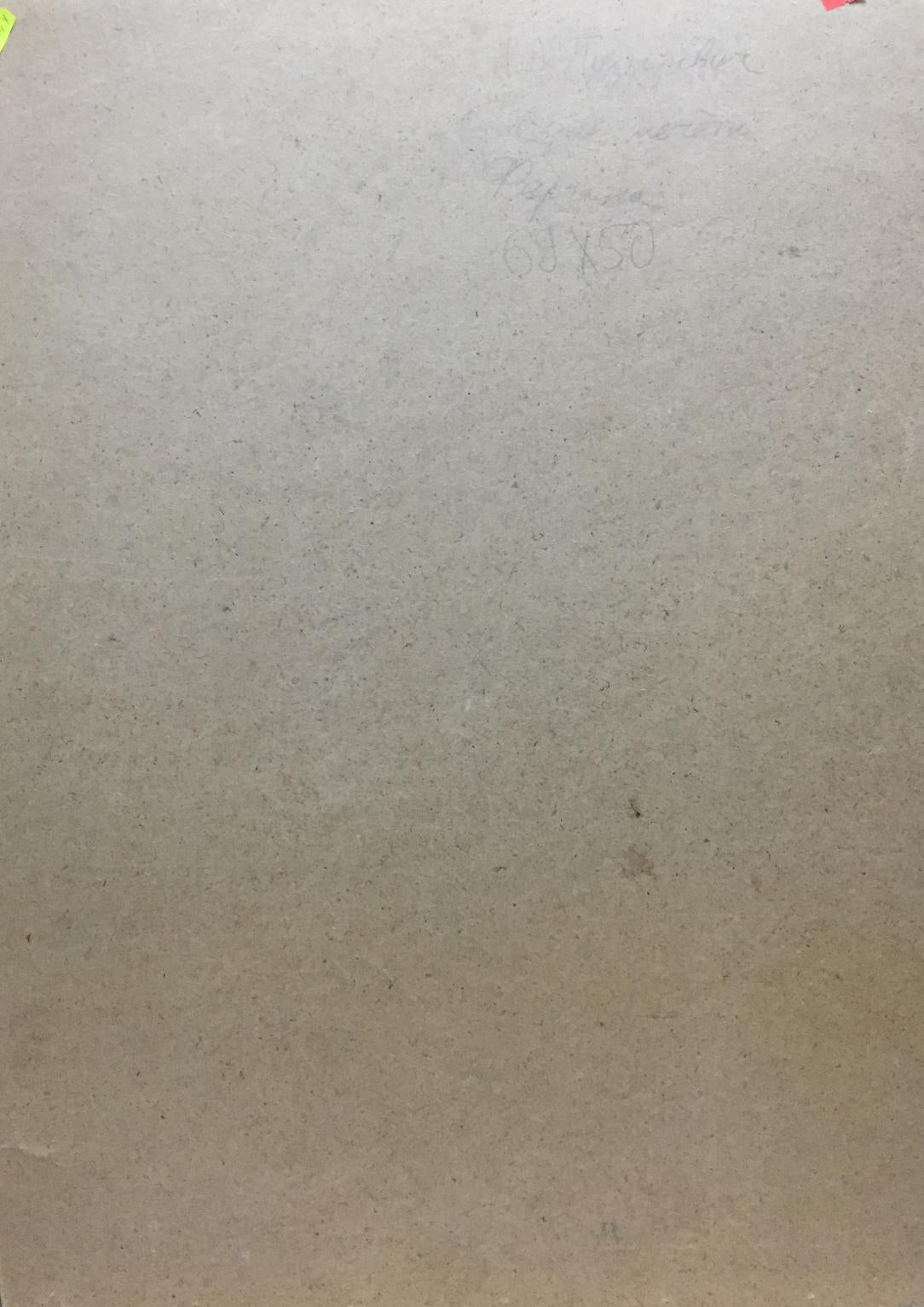 Oil painting Dreamer's Yard Puzyrevich Alexander Adamovich