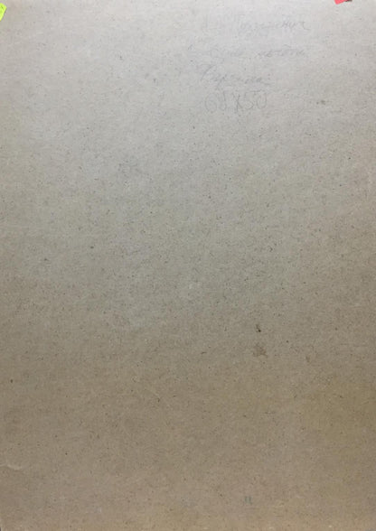 Oil painting Dreamer's Yard Puzyrevich Alexander Adamovich