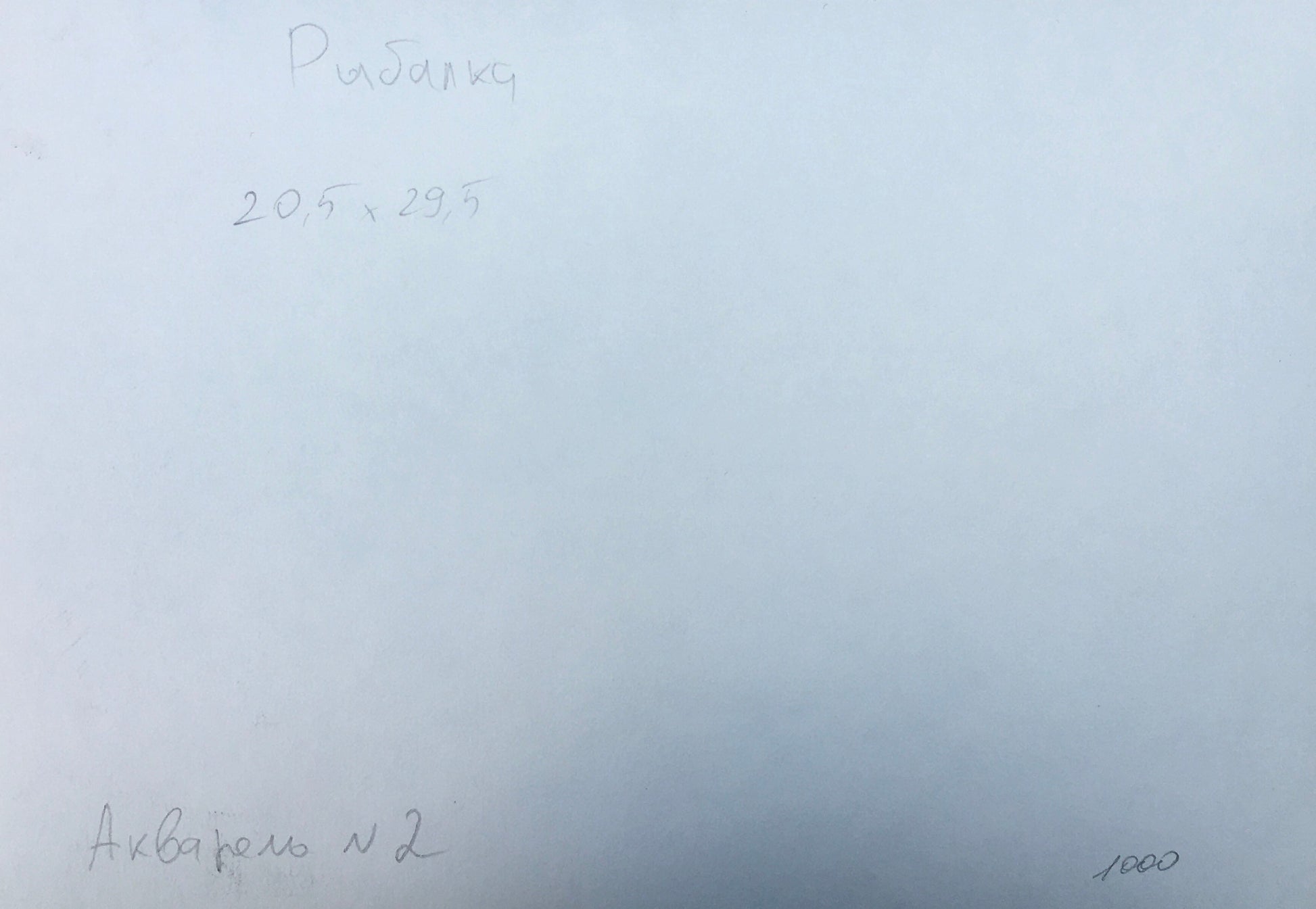 Description of the dimensions of the painting by Viktor Mykhailychenko Rybalka