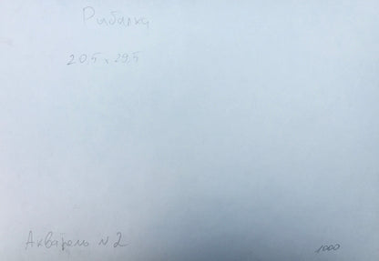 Description of the dimensions of the painting by Viktor Mykhailychenko Rybalka