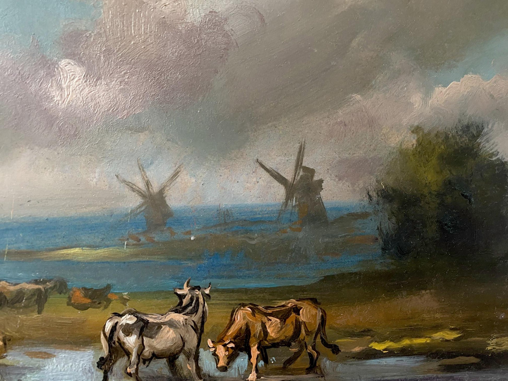 river landscape