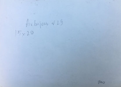 Watercolor painting House view Viktor Mikhailichenko