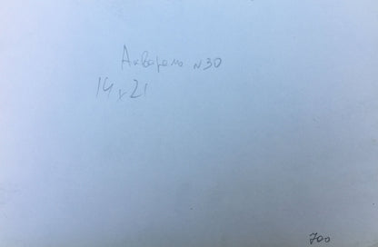 Watercolor painting Road to the forest Viktor Mikhailichenko