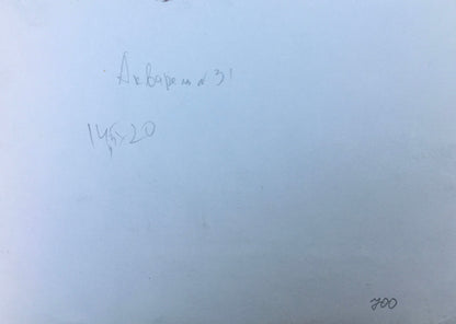 Watercolor painting After a rainy day Viktor Mikhailichenko