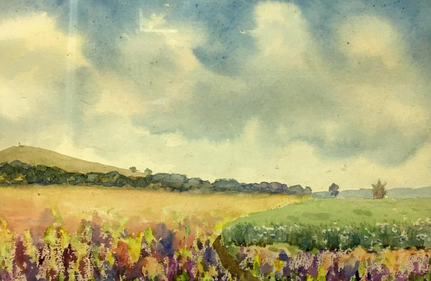 Watercolor painting Fields Tsyupka Ivan Kirillovich