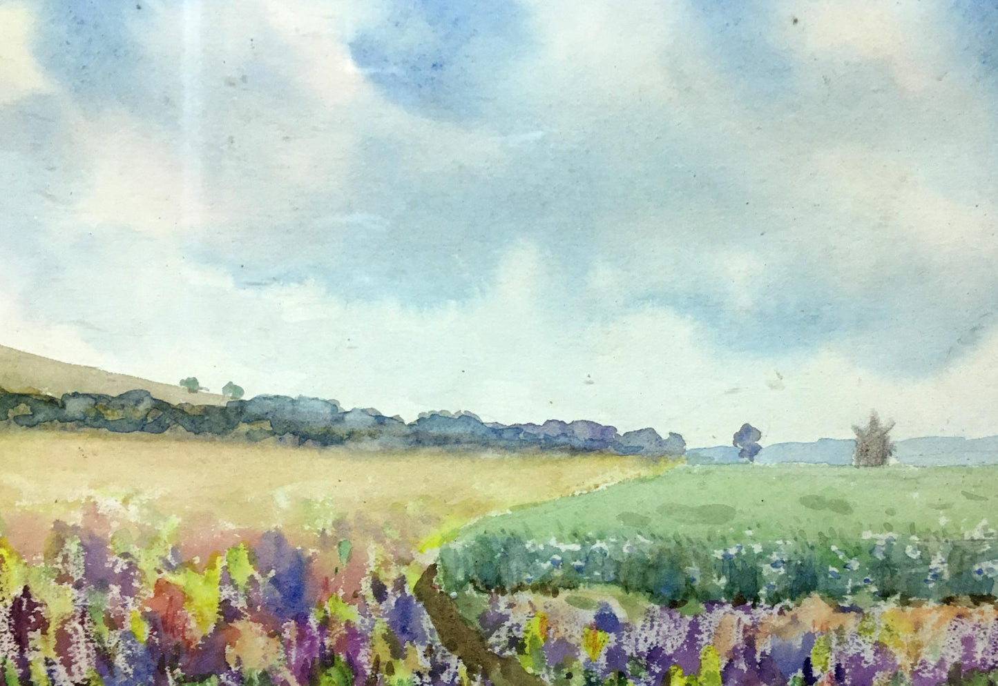 Watercolor painting Fields Tsyupka Ivan Kirillovich