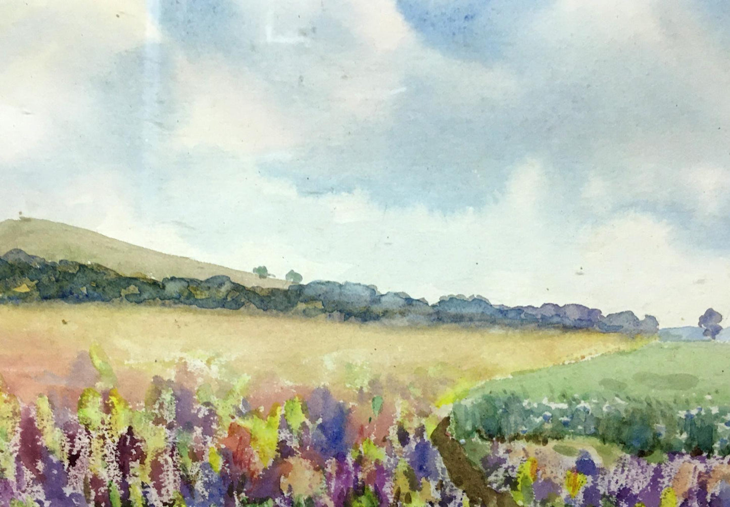 Watercolor painting Fields Tsyupka Ivan Kirillovich