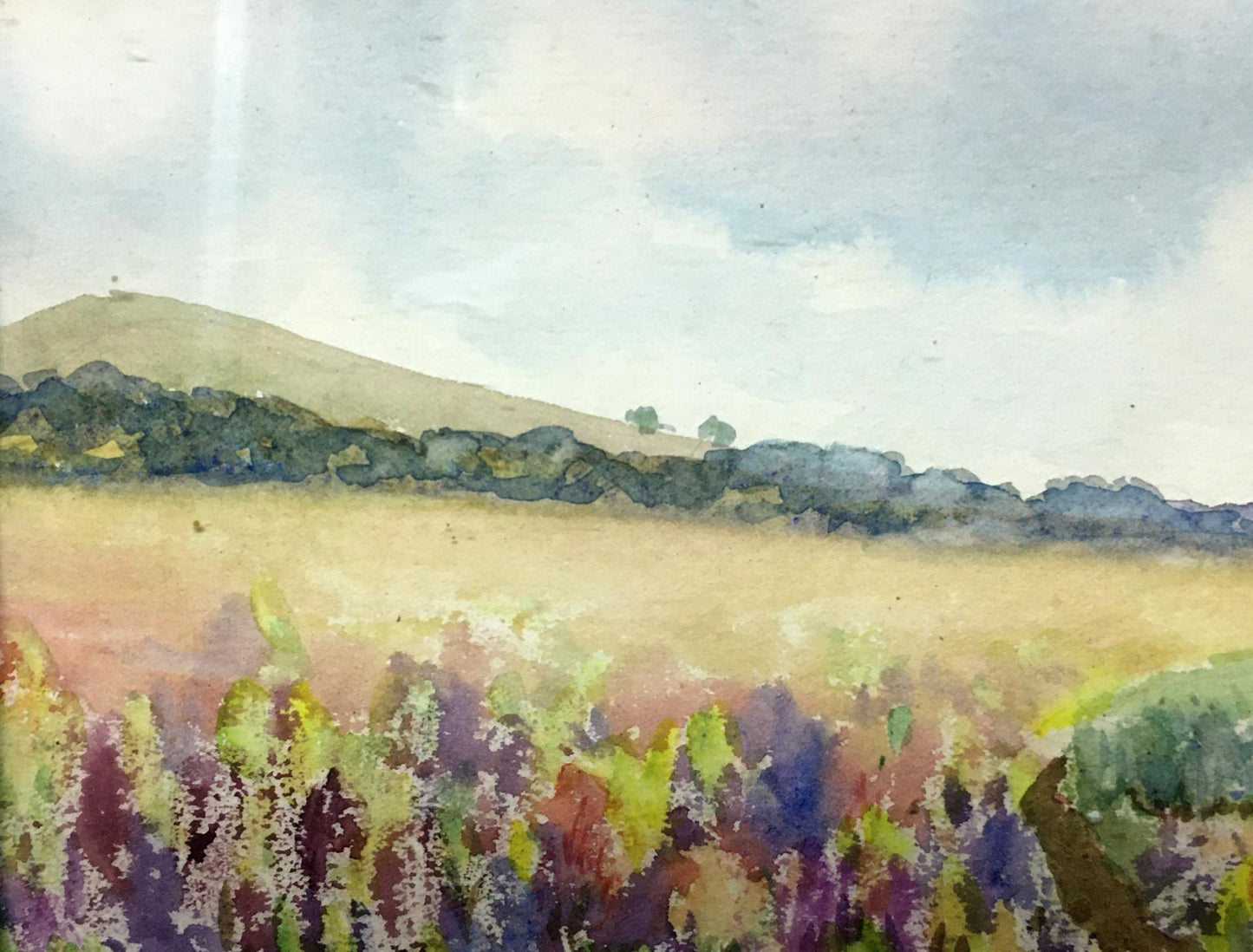 Watercolor painting Fields Tsyupka Ivan Kirillovich