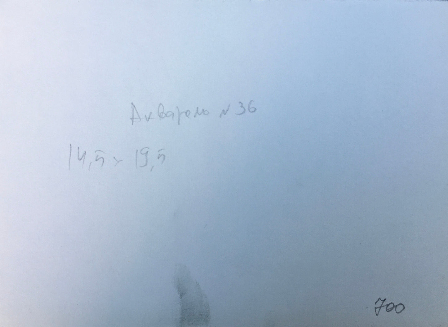 Watercolor painting In the fog Viktor Mikhailichenko