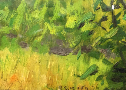 Oil painting Garden Tsyupka Ivan Kirillovich