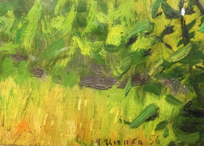 Oil painting Garden Tsyupka Ivan Kirillovich