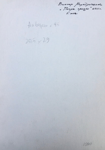 Watercolor painting After a thunderstorm Viktor Mikhailichenko