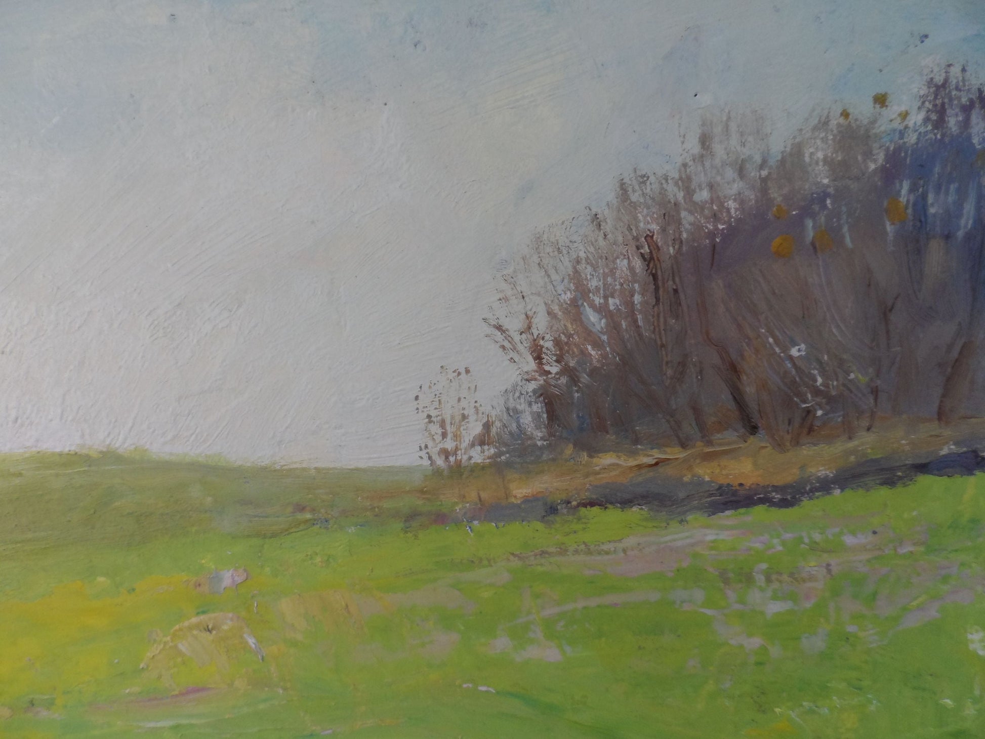 Oil painting spring