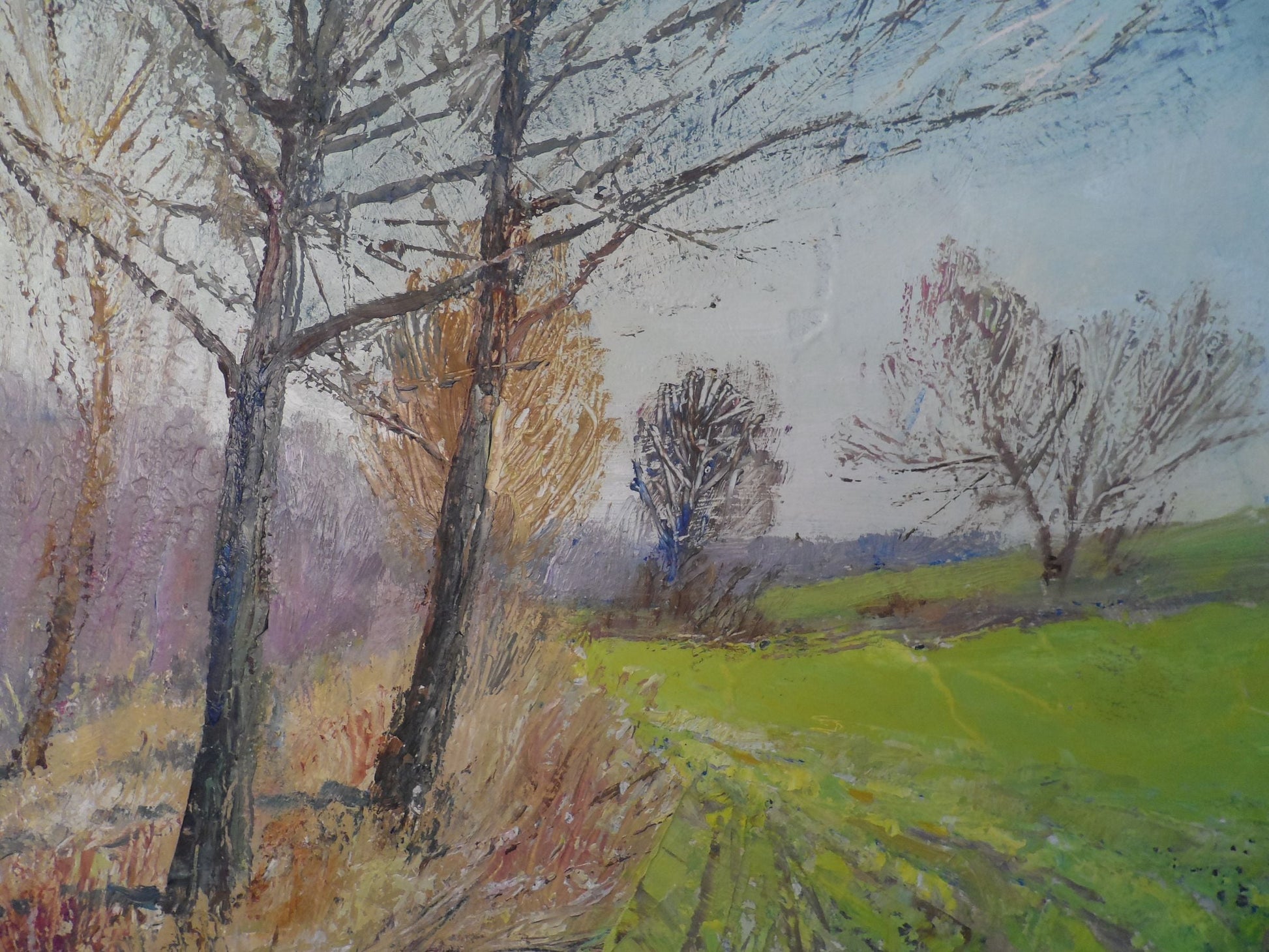 Oil Painting Nature Landscape 