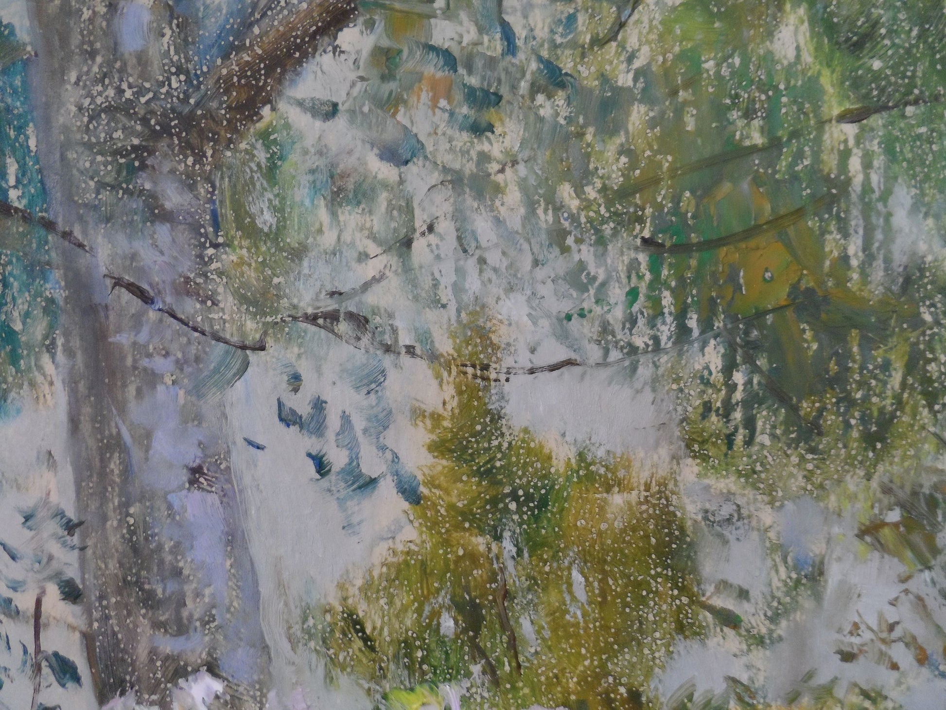 Spring Forest landscape