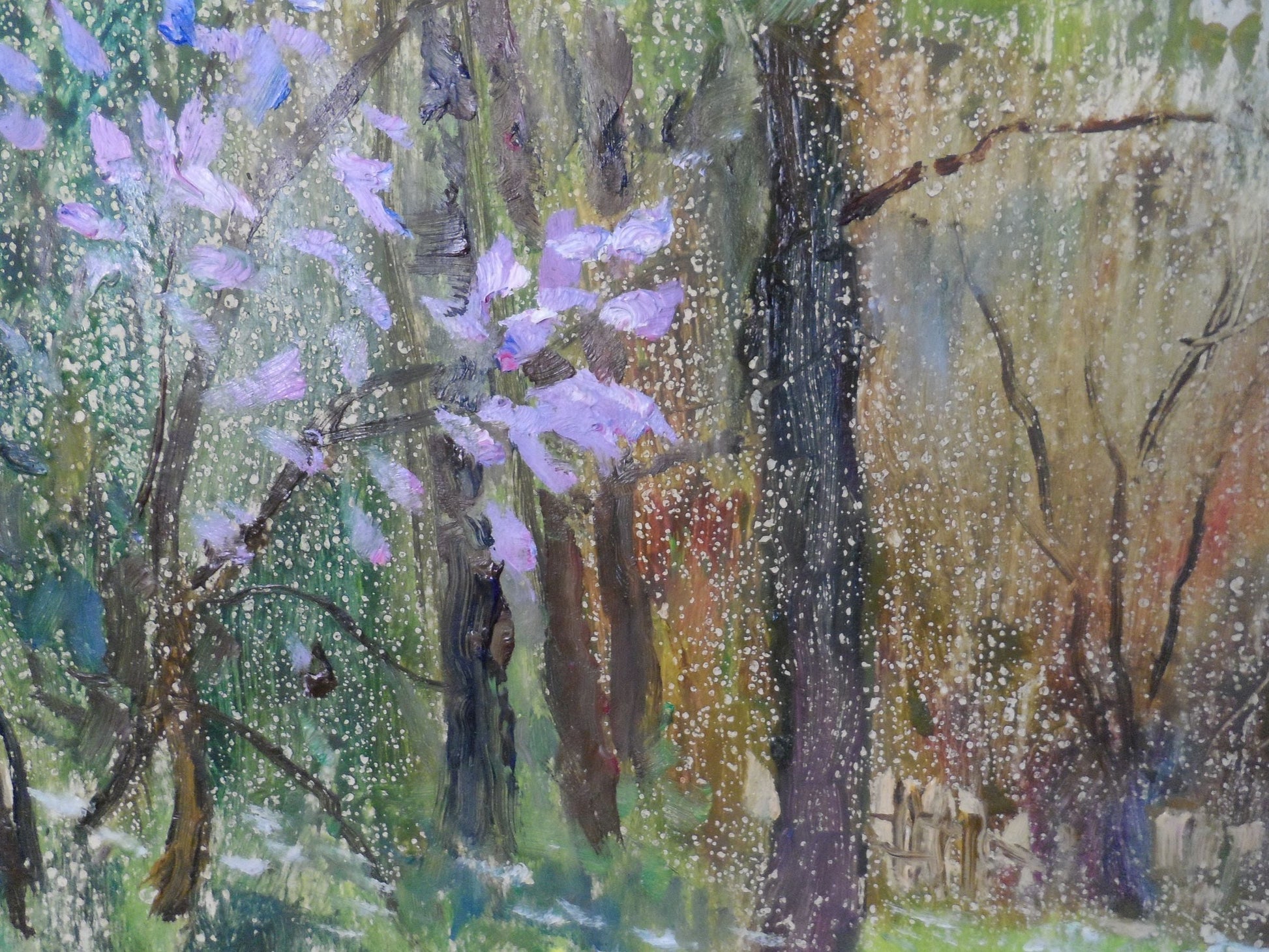 Mountain Forest landscape