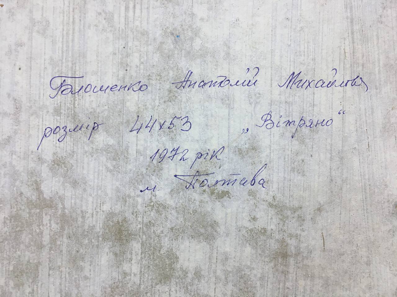 Oil painting Windy day Bloshenko Anatoly Mikhailovich