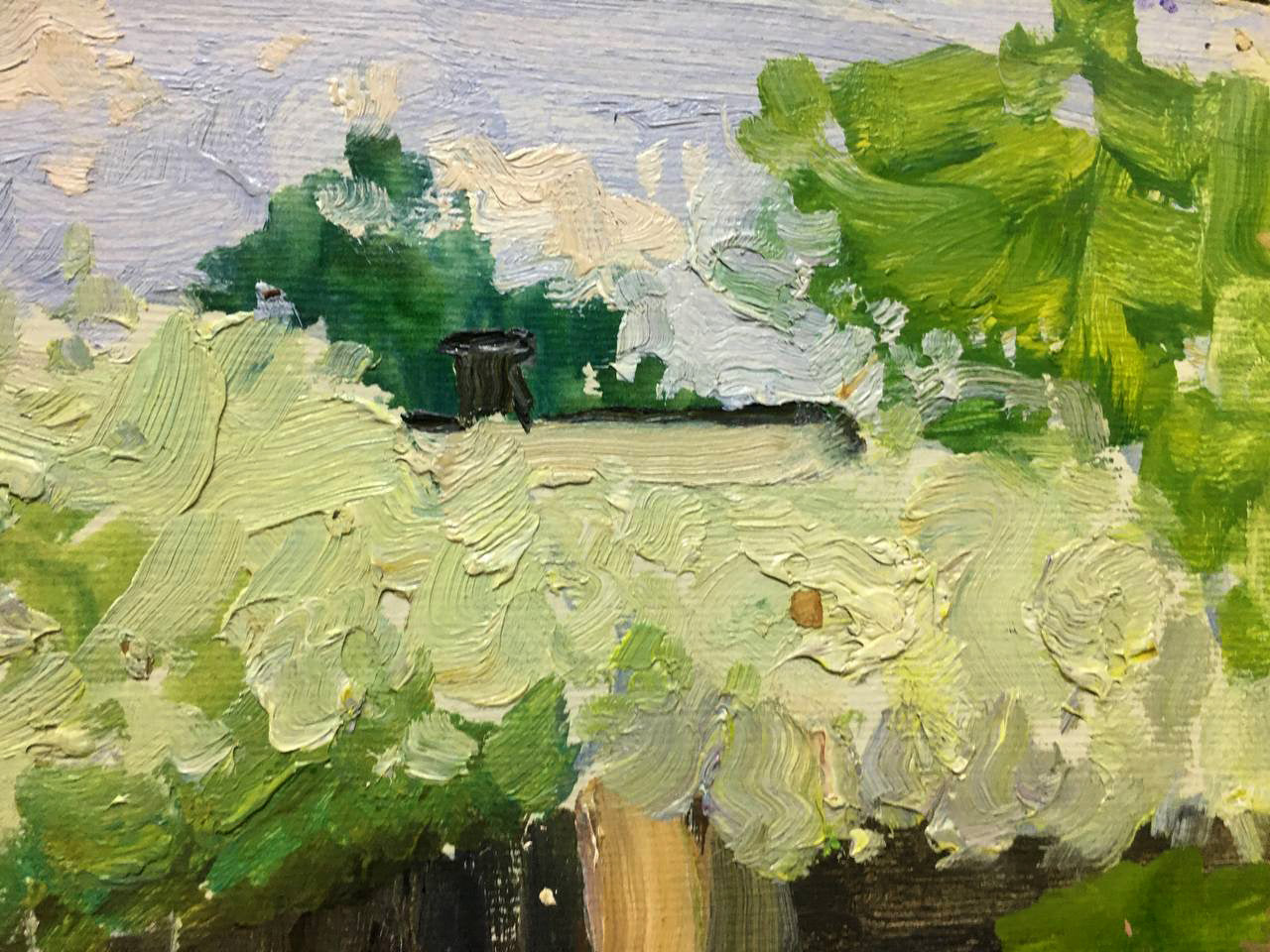 Oil painting Street in flowers Bloshenko Anatoly Mikhailovich