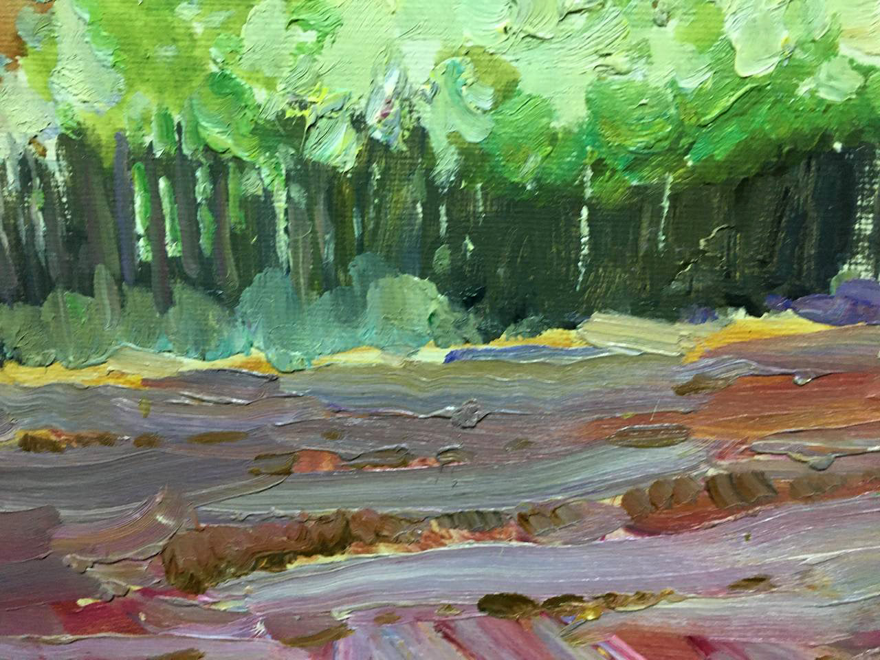 Oil painting Street in flowers Bloshenko Anatoly Mikhailovich