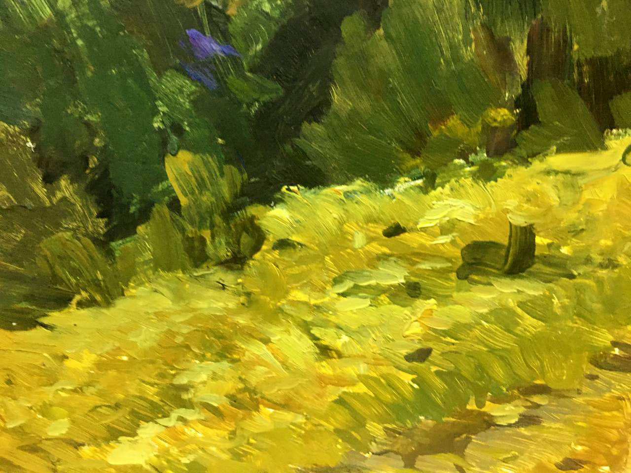 Oil painting Sunny day Bloshenko Anatoly Mikhailovich
