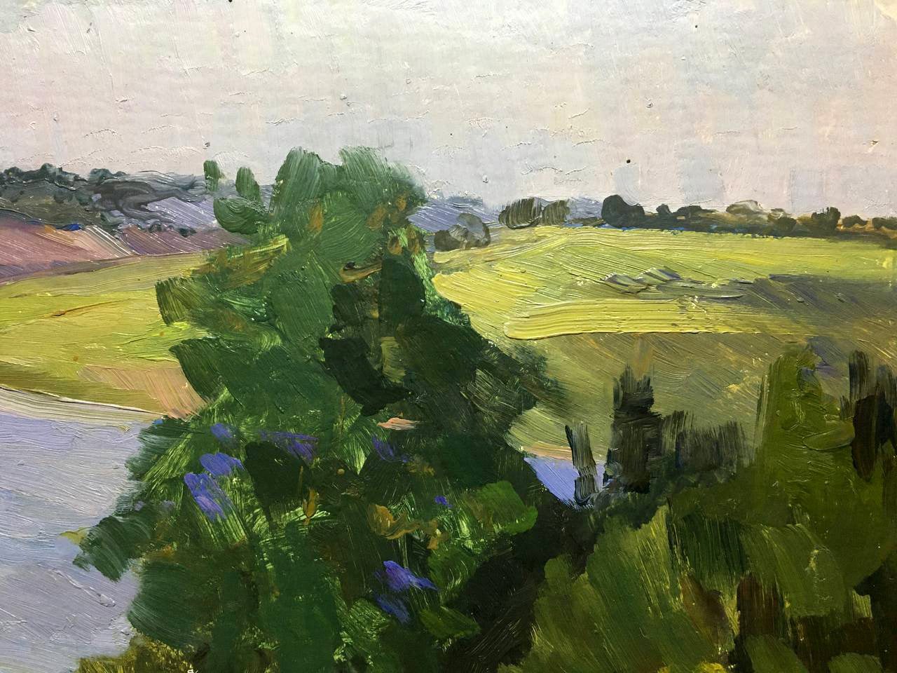 Oil painting Sunny day Bloshenko Anatoly Mikhailovich