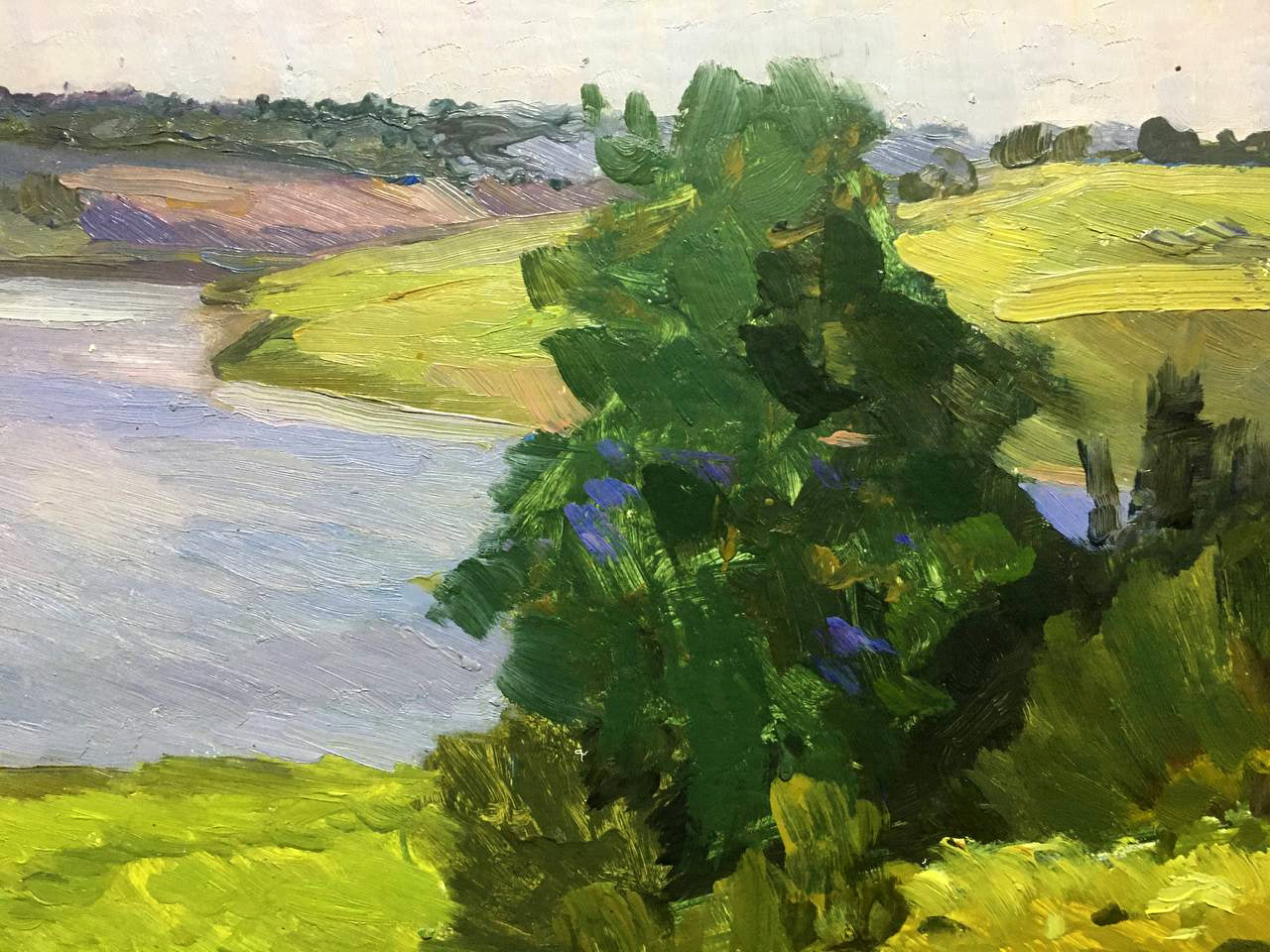 Oil painting Sunny day Bloshenko Anatoly Mikhailovich