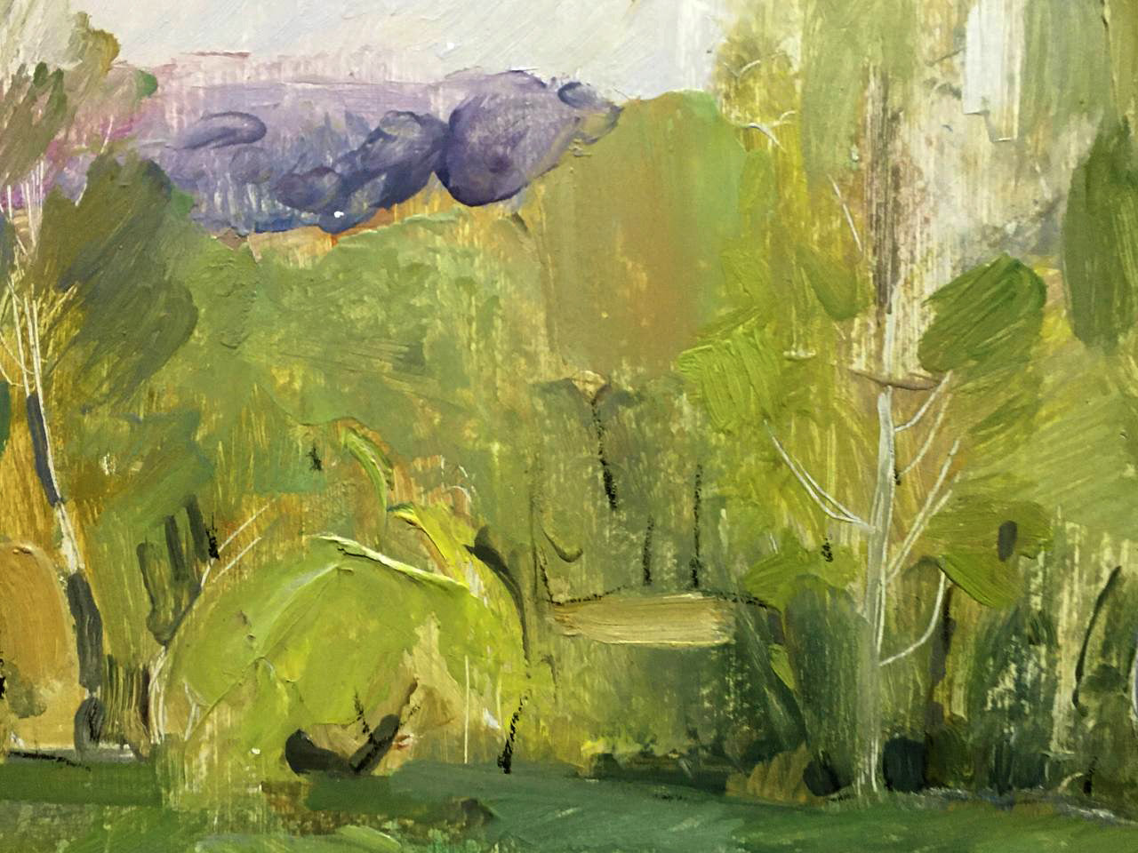 Oil painting The first rays of the sun Bloshenko Anatoly Mikhailovich