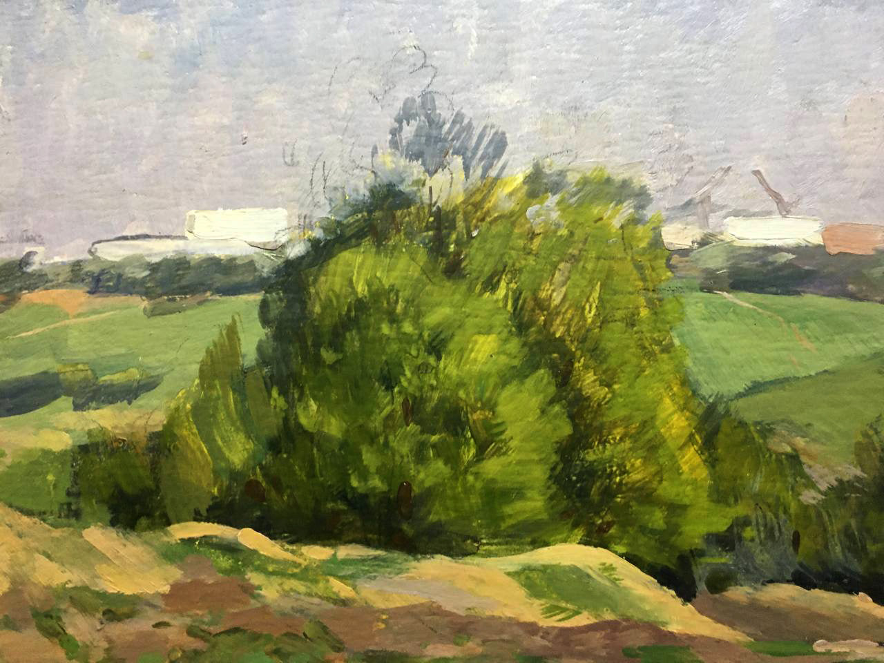 Oil painting In the country Bloshenko Anatoly Mikhailovich