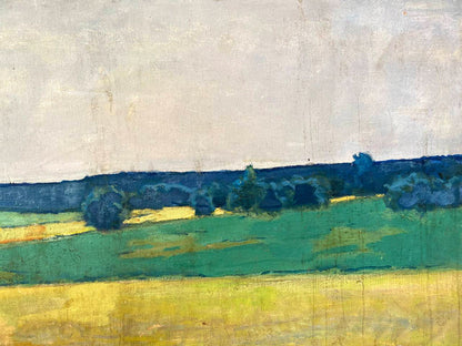 Oil painting Ukrainian fields Pavlyuk Nikolay Artemovich