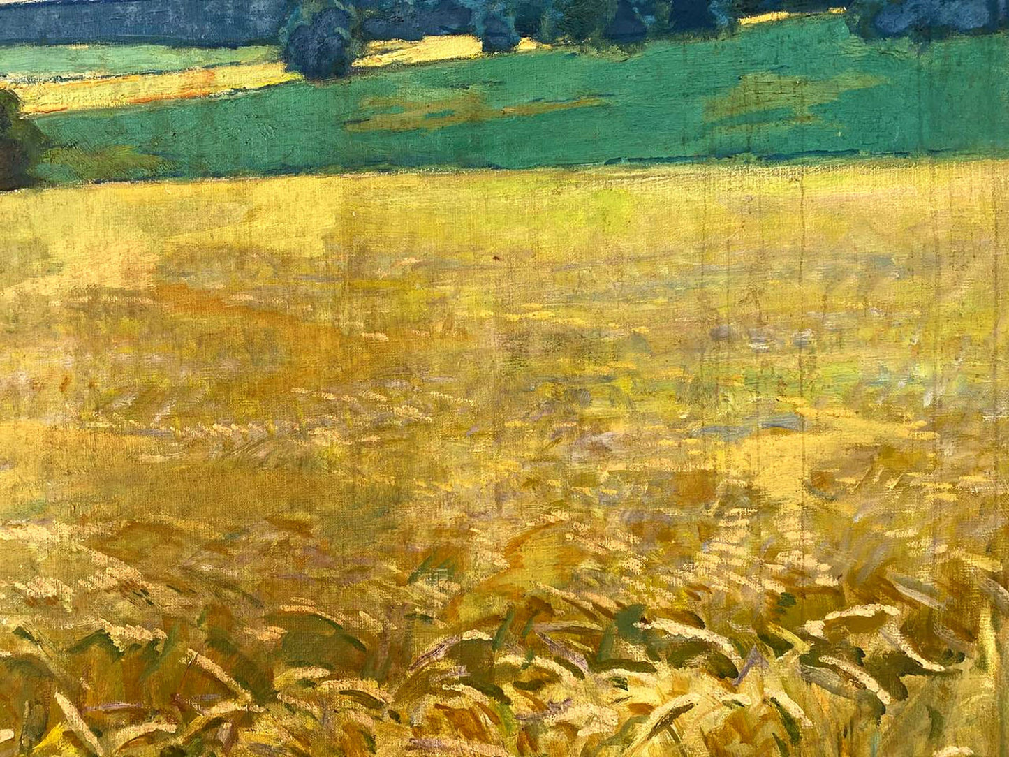 Oil painting Ukrainian fields Pavlyuk Nikolay Artemovich