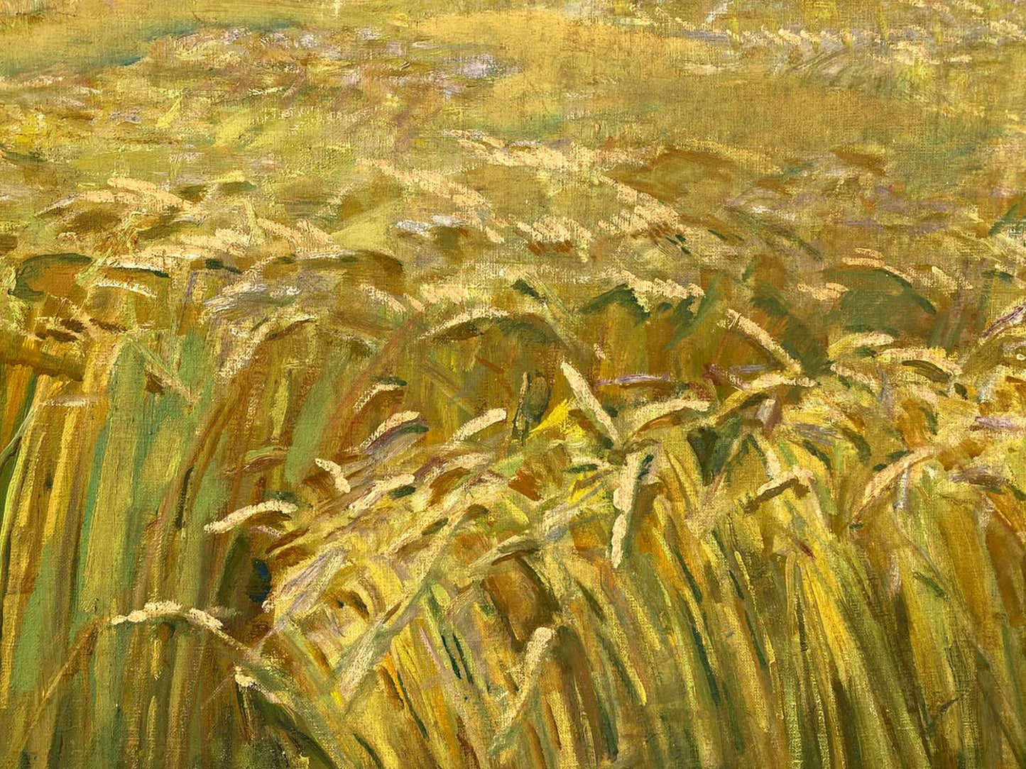 Oil painting Ukrainian fields Pavlyuk Nikolay Artemovich