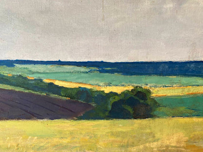 Oil painting Ukrainian fields Pavlyuk Nikolay Artemovich