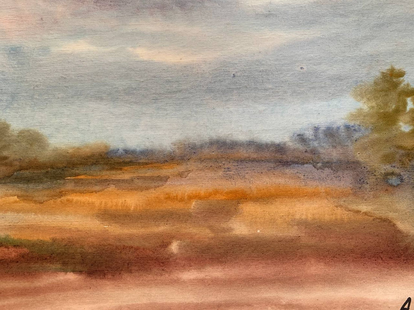 Watercolor painting Golden field A.Khorov